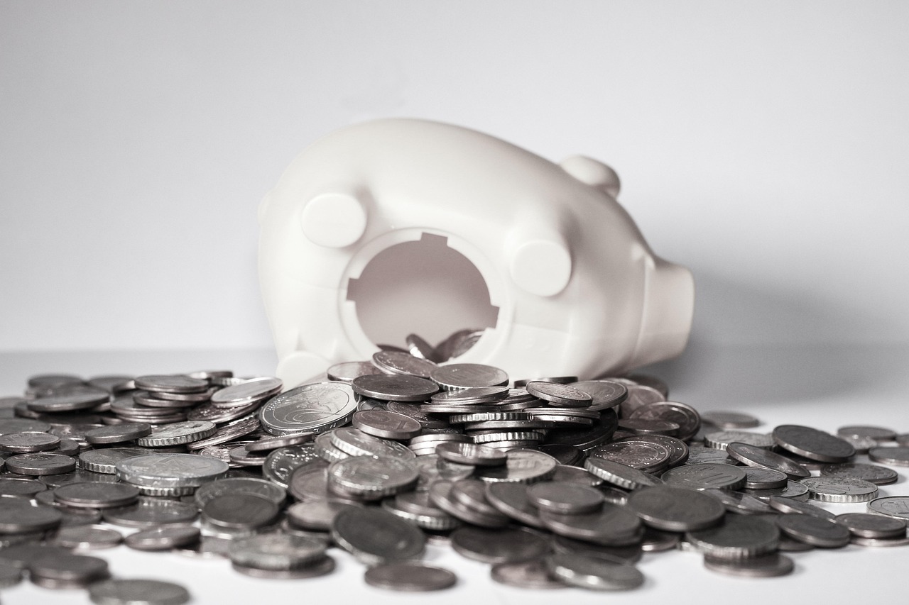 money piggy bank coins finance save up pig euro save money piggy cent saved up piggy bank piggy bank piggy bank piggy bank piggy bank