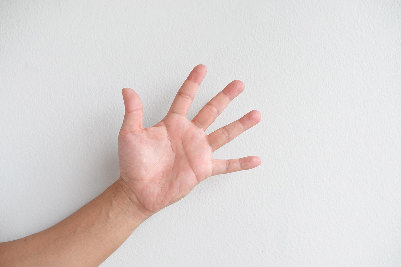 palm finger hand let rock paper scissors palm palm palm finger finger finger finger hand hand hand hand hand