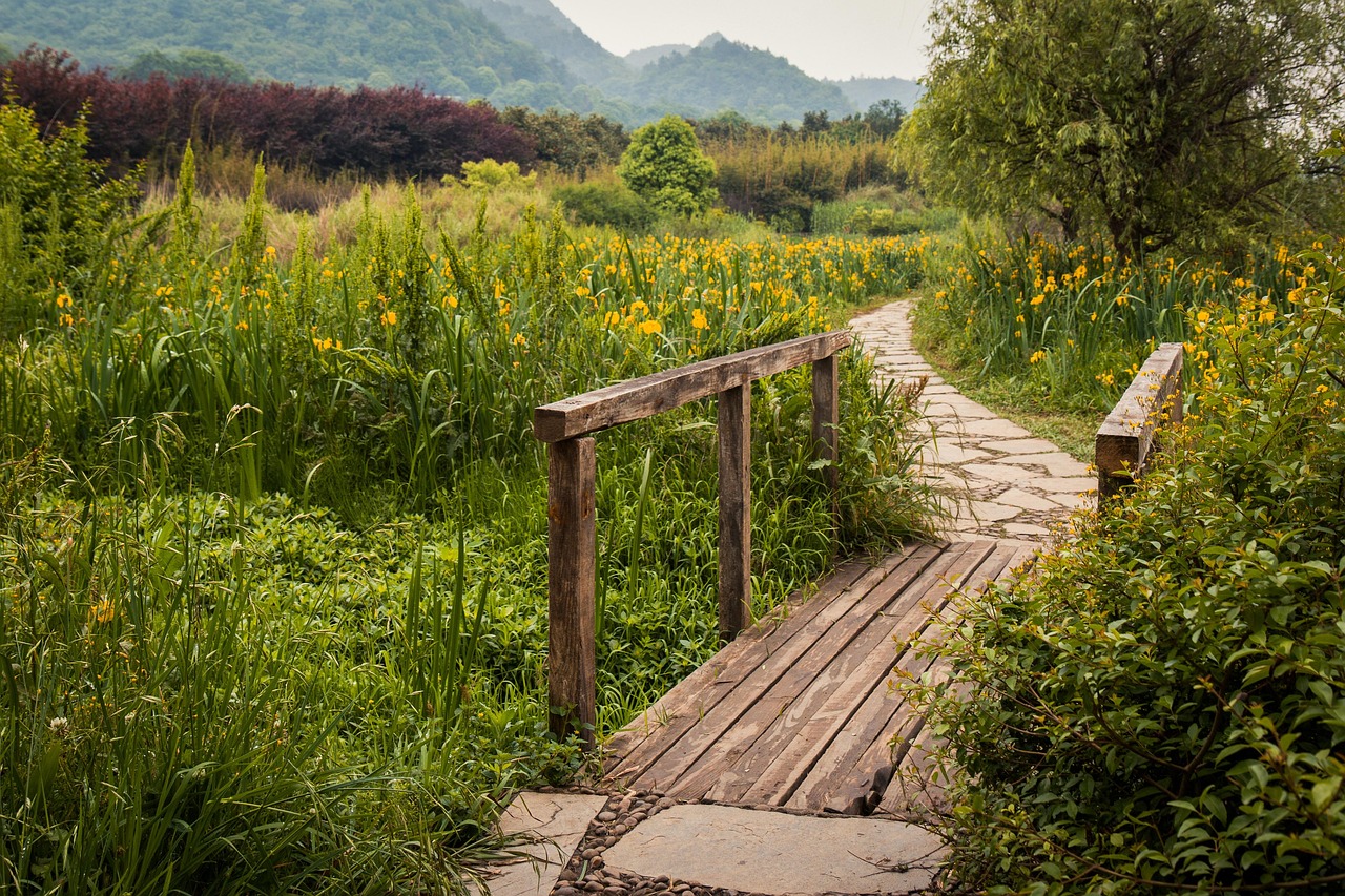 china meadow guizhou path scenery wooden bridge bridge china china china meadow path path path scenery bridge bridge bridge bridge bridge