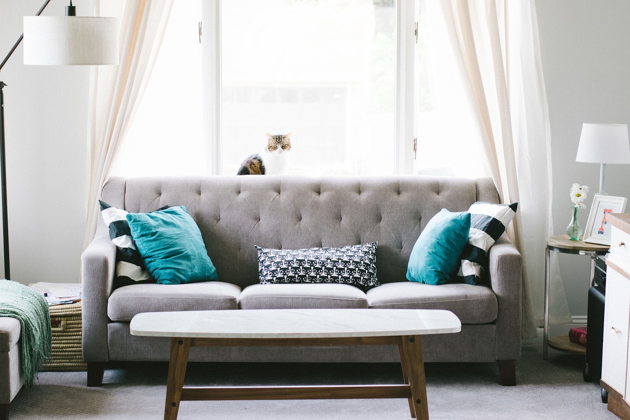 living room sofa couch interior design decoration pillow windows curtain table furniture cozy home house living room furniture interior decoration home furniture living room living room living room living room living room sofa sofa sofa couch interior design furniture furniture furniture home home home house house house house