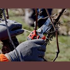 Bahco PX-M2 Professional Pruning Shears