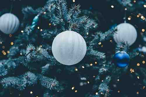 Christmas Tree in the Bible: Symbolism and Meaning