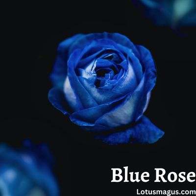 rose bleue signification dans la relation