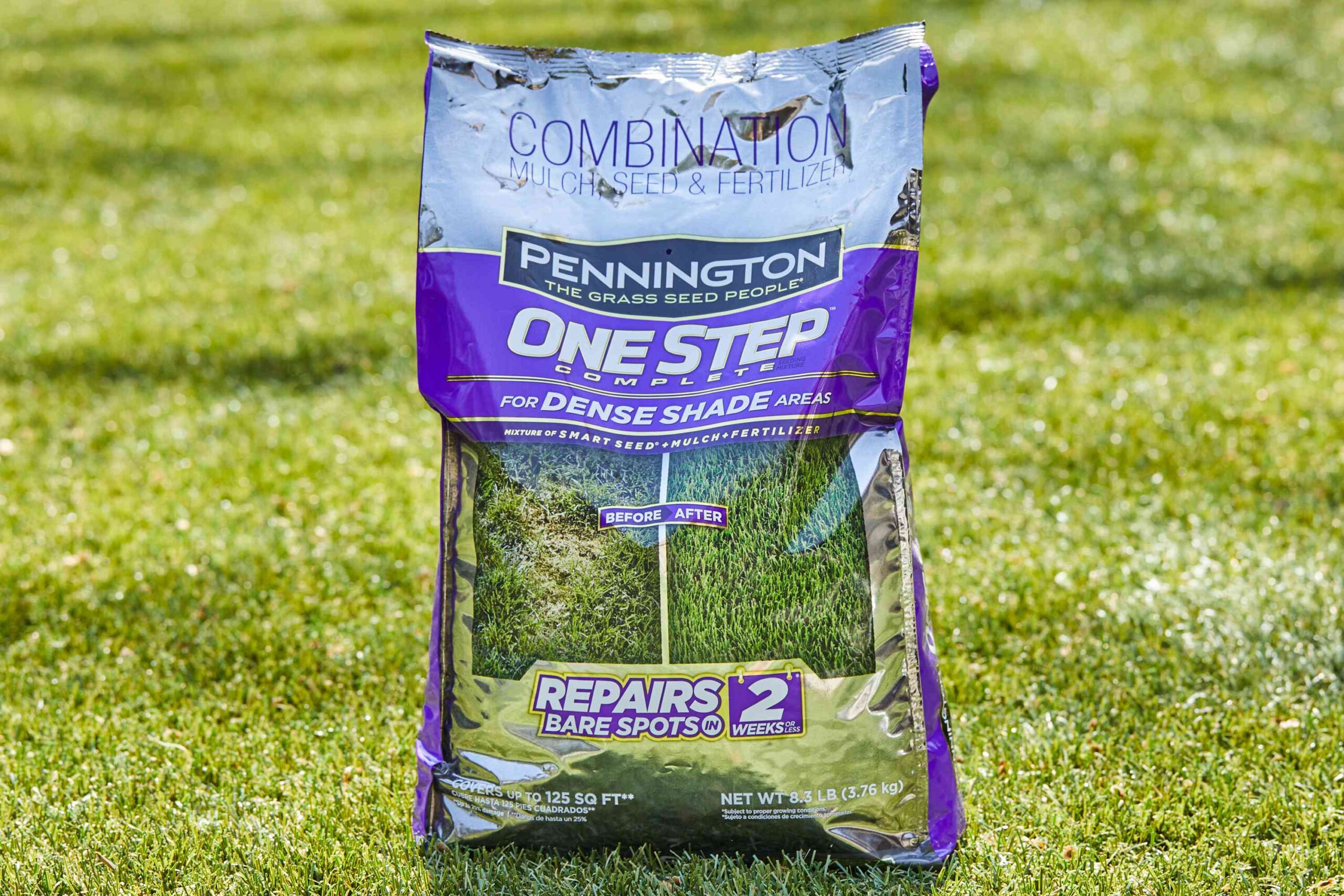 Grass Types In Florida: Top 8 Picks For Your Lawn
