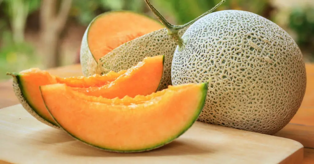 How to Tell If Cantaloupe is Ripe | Lotustryo