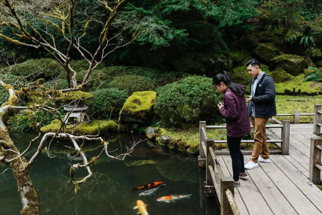 Japanese Willow Trees: Discover the Serene Beauty and Healing Powers