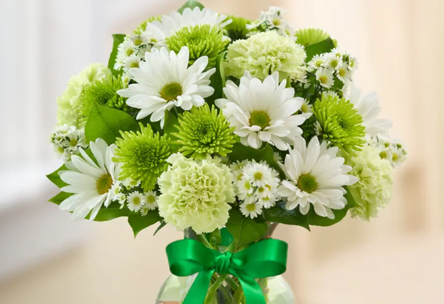 Green Flowers: Meaning, Their Symbolism, Colors And Types