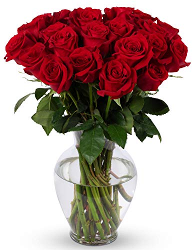 Long Stem Roses