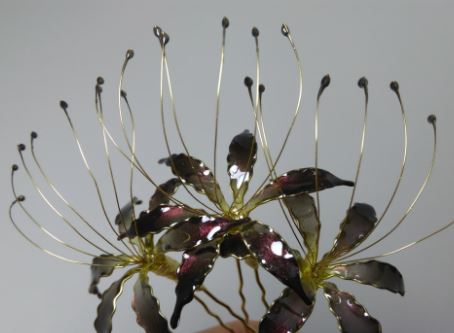 Black Spider Lily