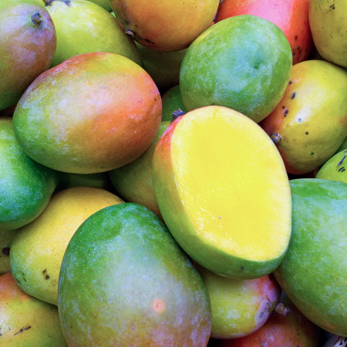 How to Tell If Mango is Ripe | Lotustryo  