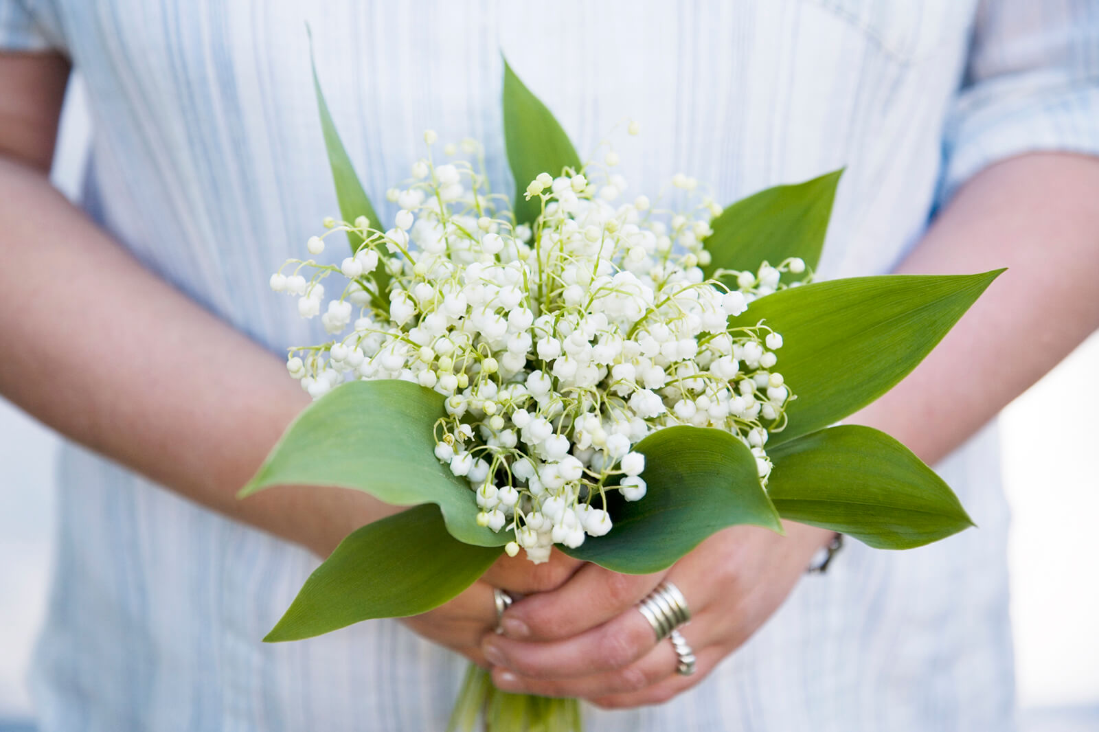 May Birth Flowers: Lily-Of-The-Valley And Hawthorn (Meanings)  