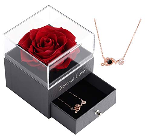 Preserved Eternal Real Rose with Love You Necklace in 100 ...