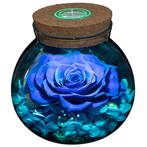 Preserved Real Roses with Colorful Mood Light Wishing Bottle,Eternal Rose，Never ...