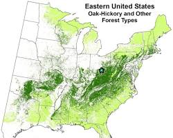 Hickory tree range map