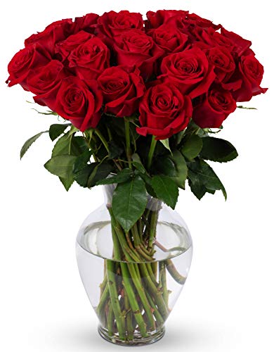 BENCHMARK BOUQUETS - 24 Stem Red Roses Bouquet, Prime Delivery, ...