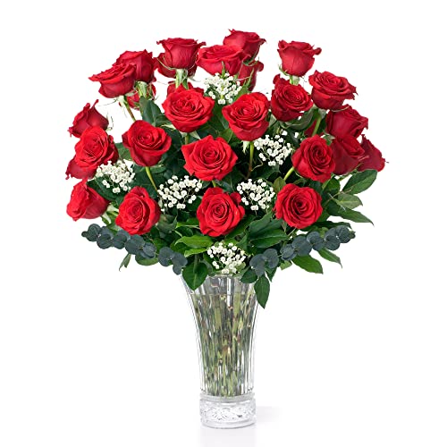 Red Roses Fresh Flowers Delivery - 2 Dozen Roses for ...