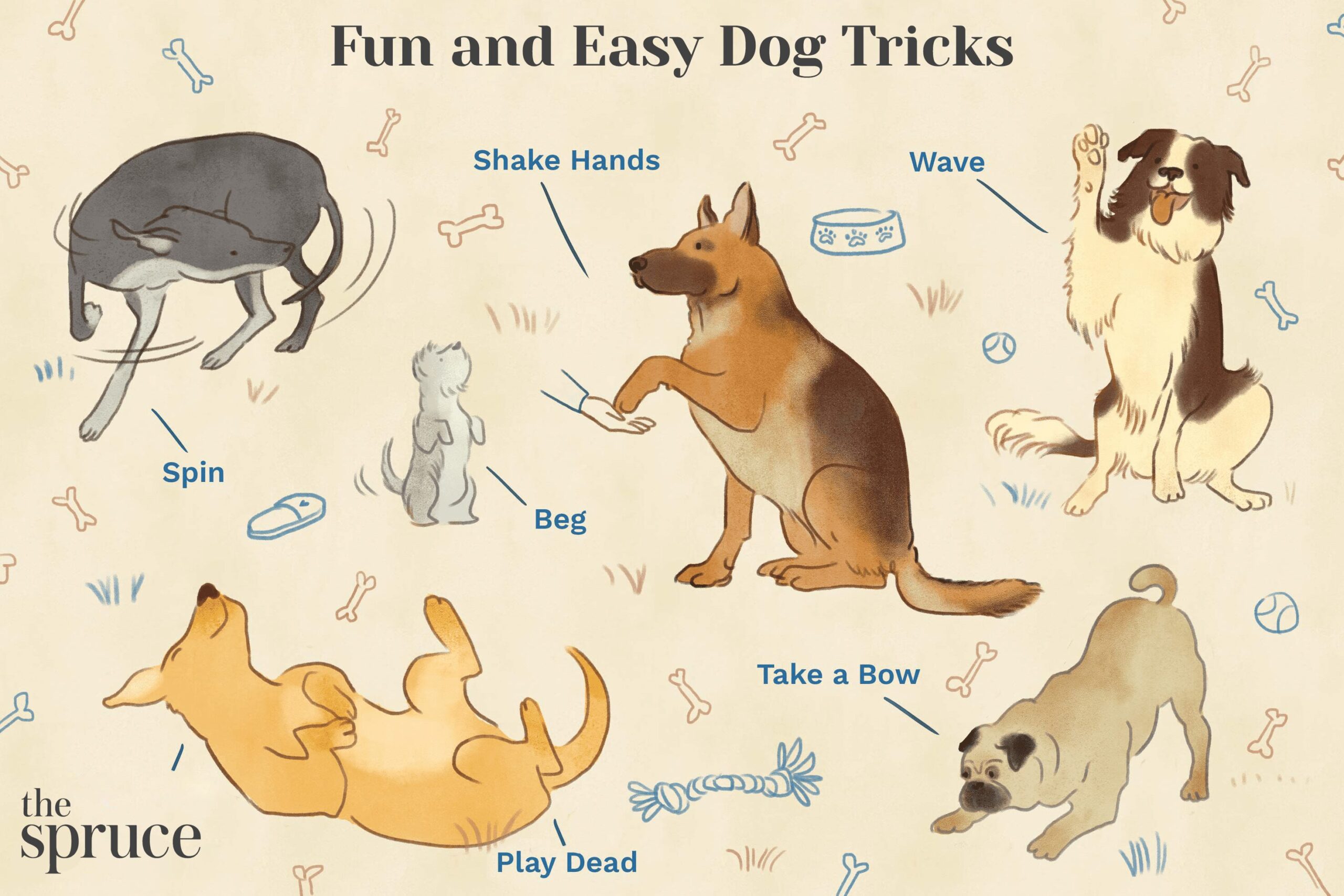 How I Taught My Dog To Do This Amazing Trick In Just One Day