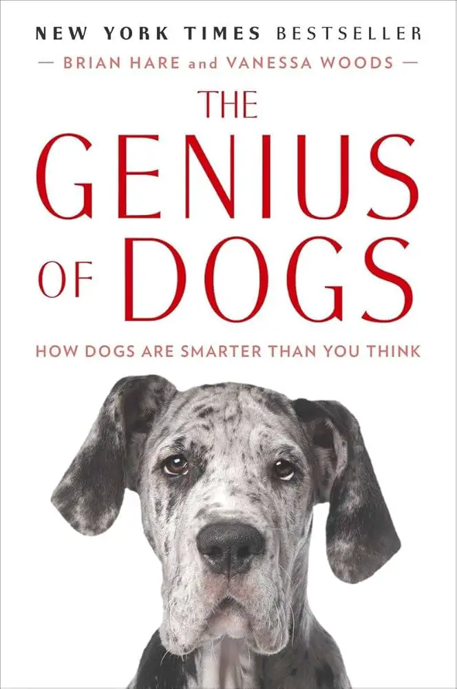 Why Your Dog Might Secretly Be Smarter Than You Think