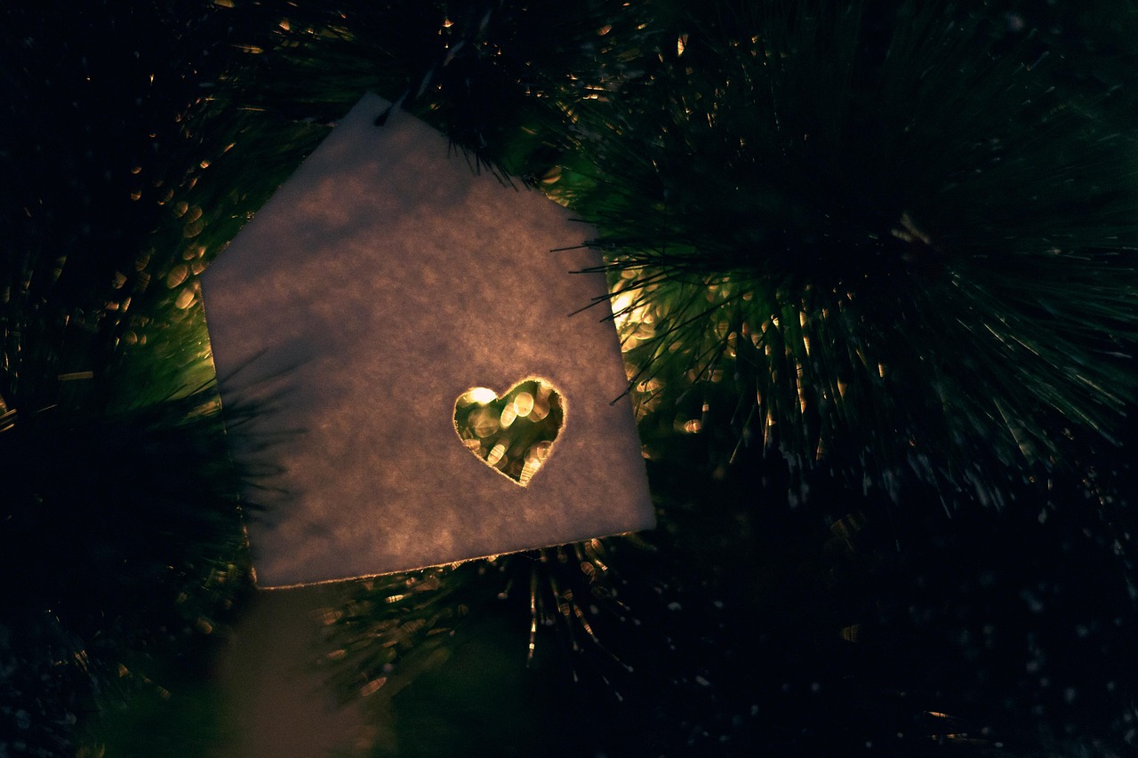 christmas  christmas tree  decoration  winter  joy  light  lights  tree  nature  family  reason  balls  people  love  heart  home  casa  lar  christmas  reason  reason  reason  reason  reason  people  lar  lar  lar