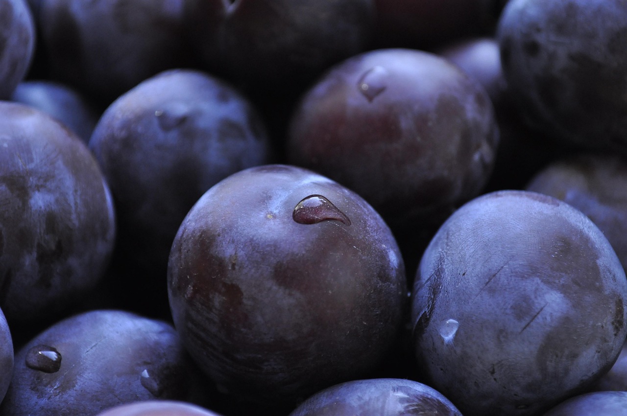 plums  fruits  healthy  organic  juicy  purple  prunus  dessert  purple  purple  purple  purple  purple
