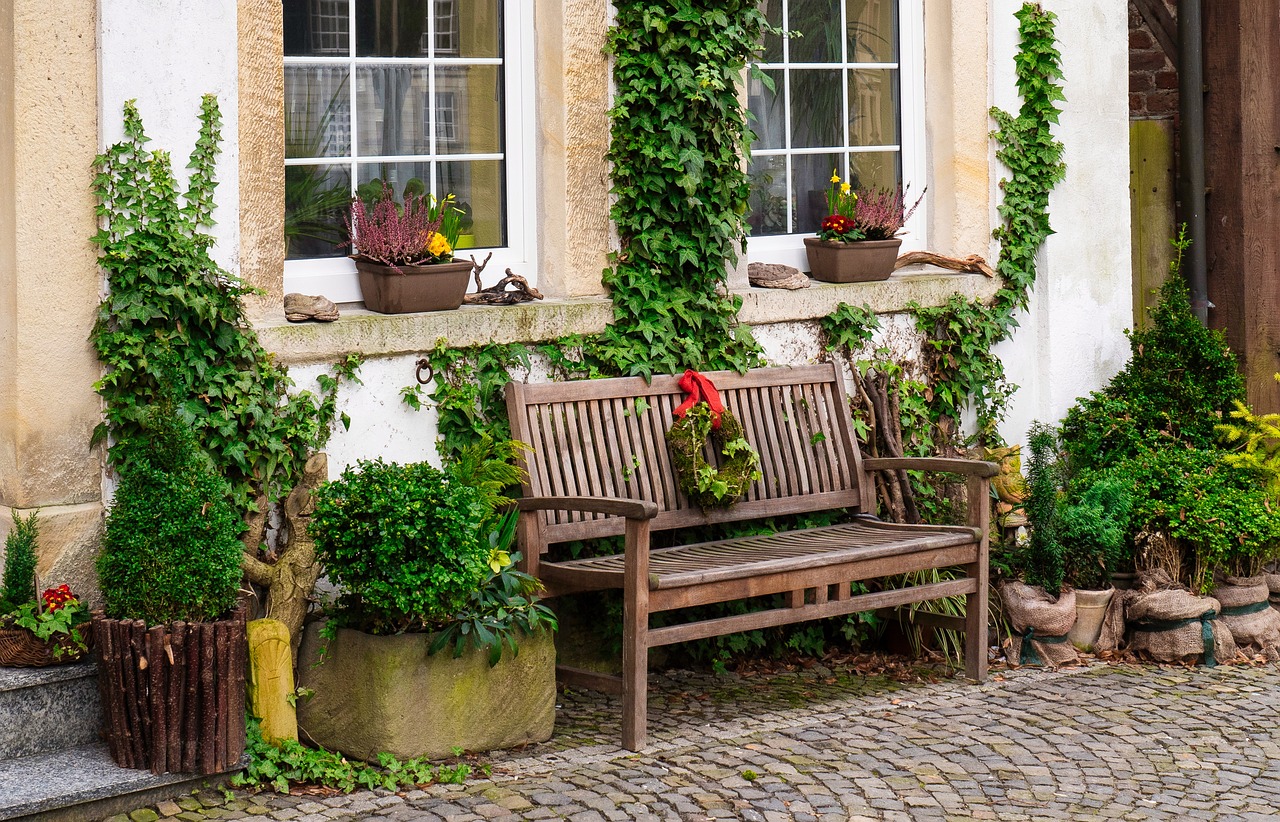 bench facade garden ivy architecture building front yard house garden garden garden nature garden garden house