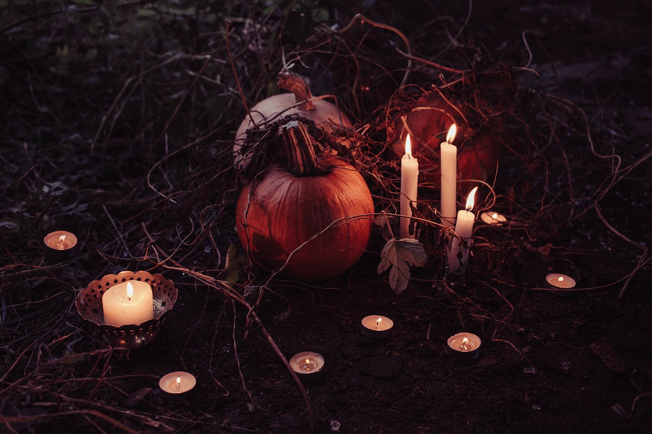 pumpkin  trick or treat  halloween  november  grass  fruit  crops  nature  candle  dark