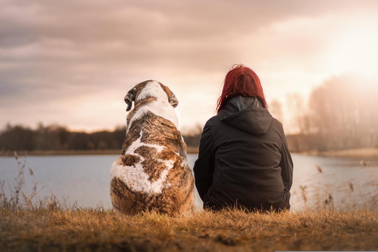 happy holidays woman dog pet friends suit sunset together friendship animal nature camaraderie best friends