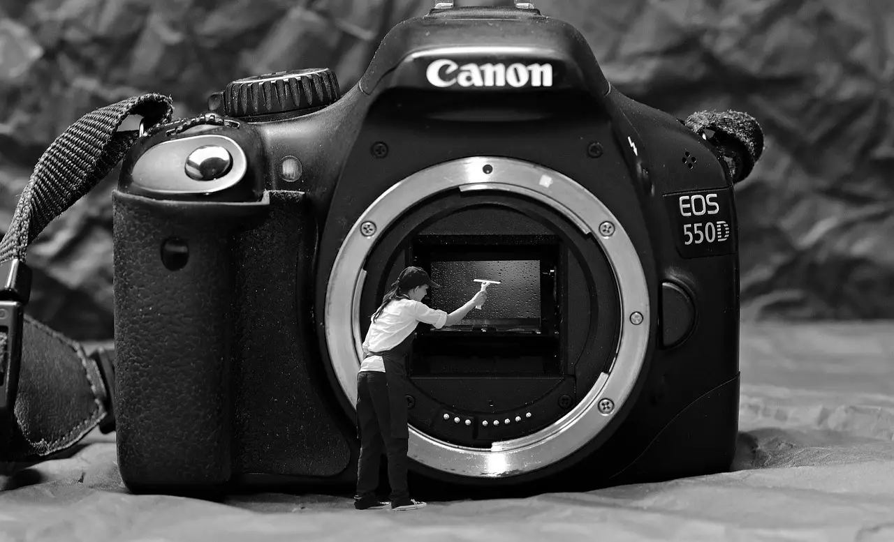 spring cleaning  sensor cleaning  sensor  cleaning  camera  clean  wash up  to clean  canon  550d  innenleben a camera  mirrors  woman  puller  laundry day  nature  wet  spring  humor  funny  fun  representation