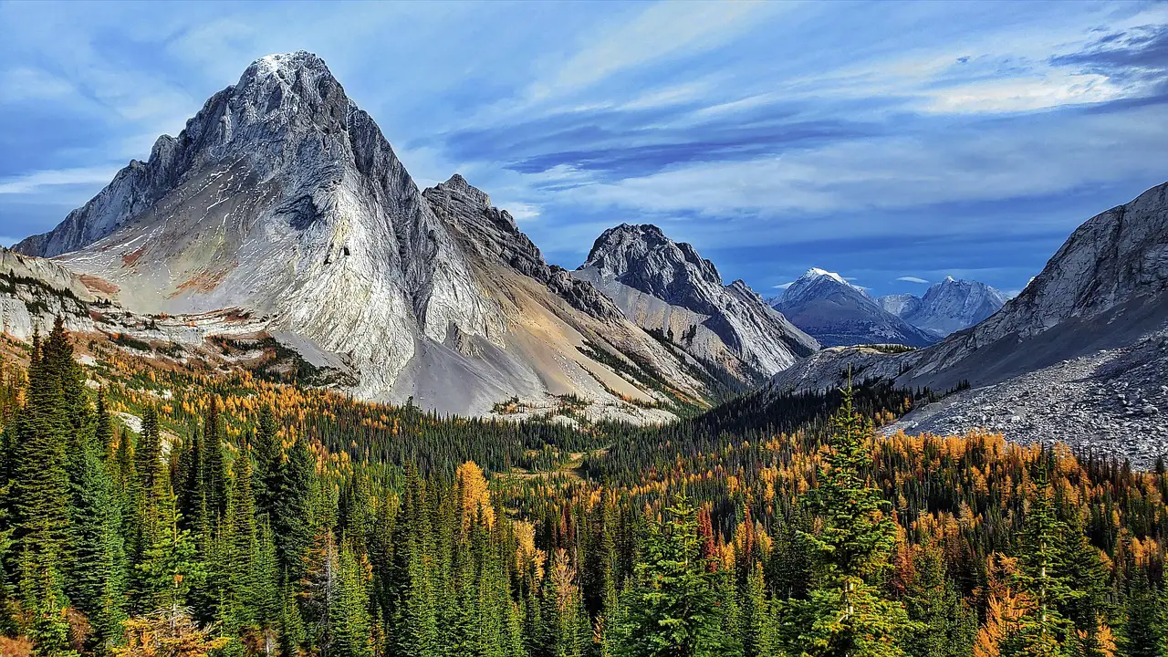 autumn  larch trees  mountains  trees  spruce trees  nature  landscape  kananaskis  alberta  canada  kananaskis  kananaskis  kananaskis  kananaskis  alberta  alberta  alberta  alberta  alberta  canada  canada  canada