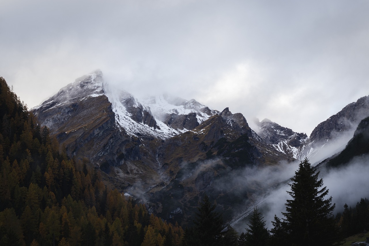 mountains snow fog trees forest snow-capped clouds alps alpine mountain range landscape scenic nature mountains mountains mountains mountains mountains forest mountain range mountain range mountain range mountain range mountain range
