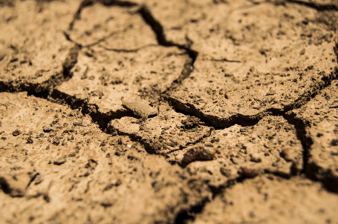 drought aridity dry earth soil brown ground arid erosion barren land drought drought drought drought drought earth earth soil soil soil soil land