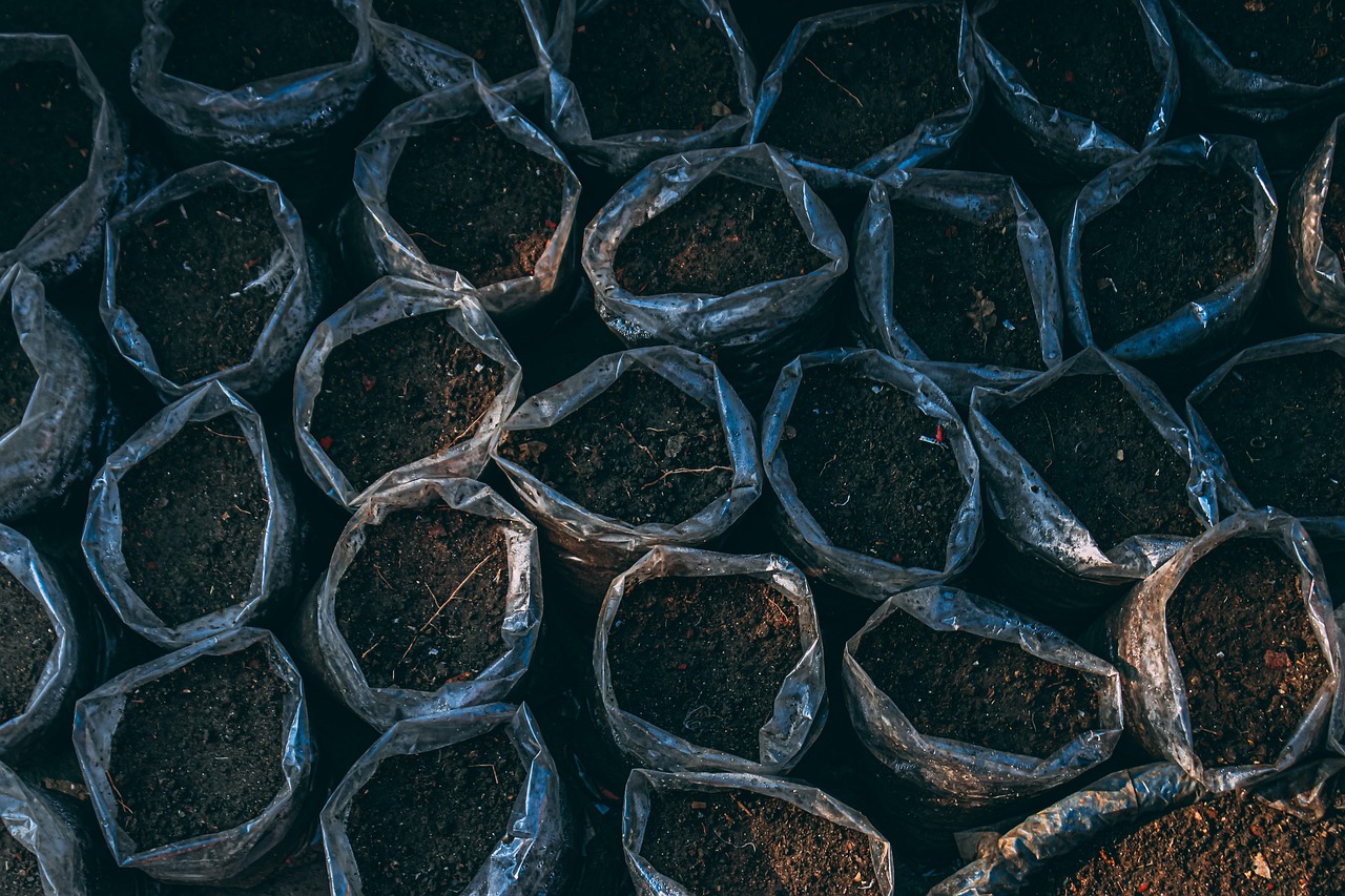 soil  pot plants  plantation  growth  nature  dirt  soil  soil  soil  soil  soil