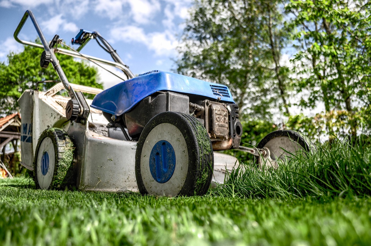 lawn mower grass garden front yard gardening lawn-mower chassis lawn cutting gardener nature equipment machine backyard mower maintenance yard