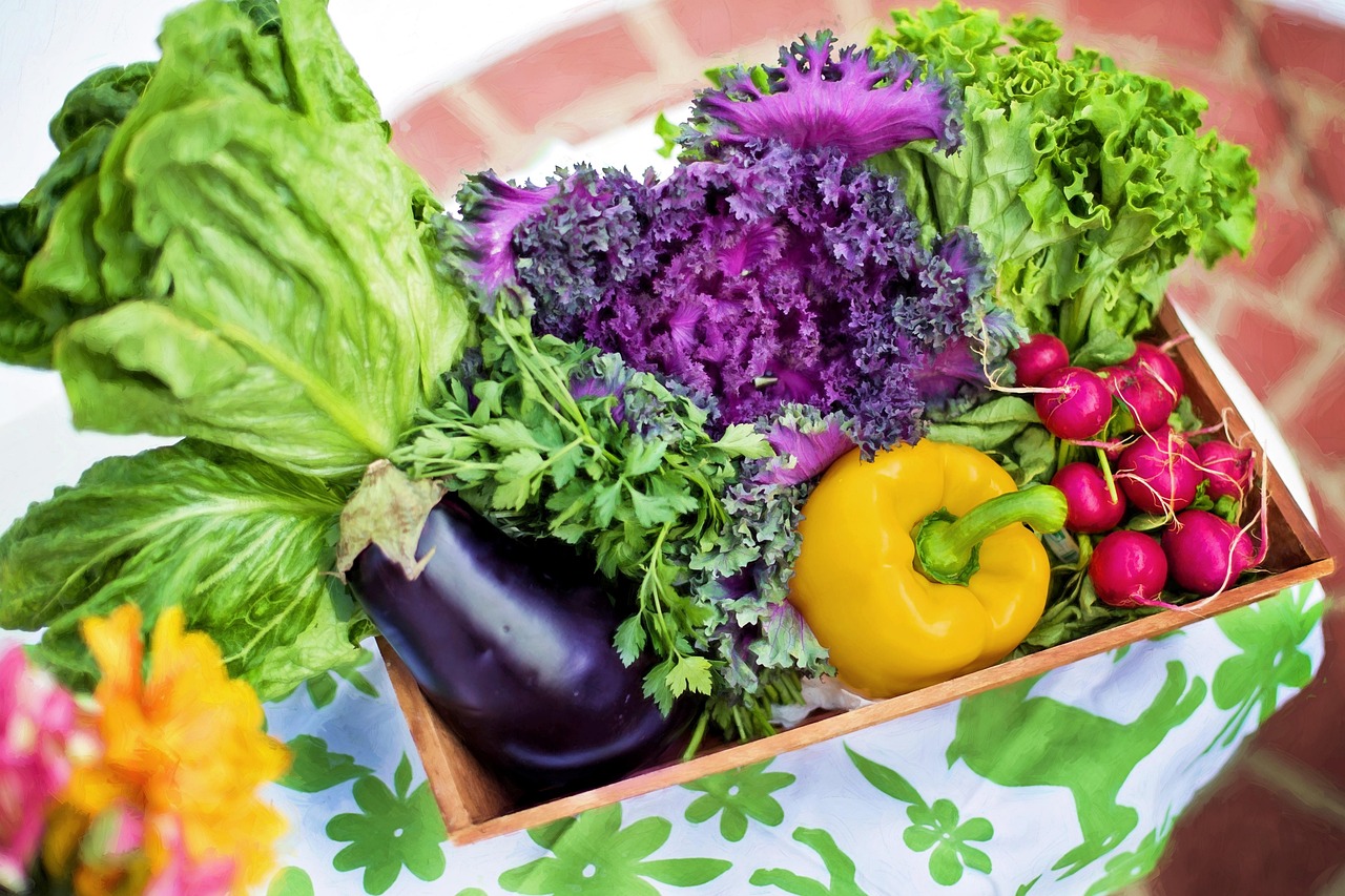 vegetables garden harvest organic gardening lettuce nutrition nature produce fresh fresh vegetables assorted garden vegetables healthy