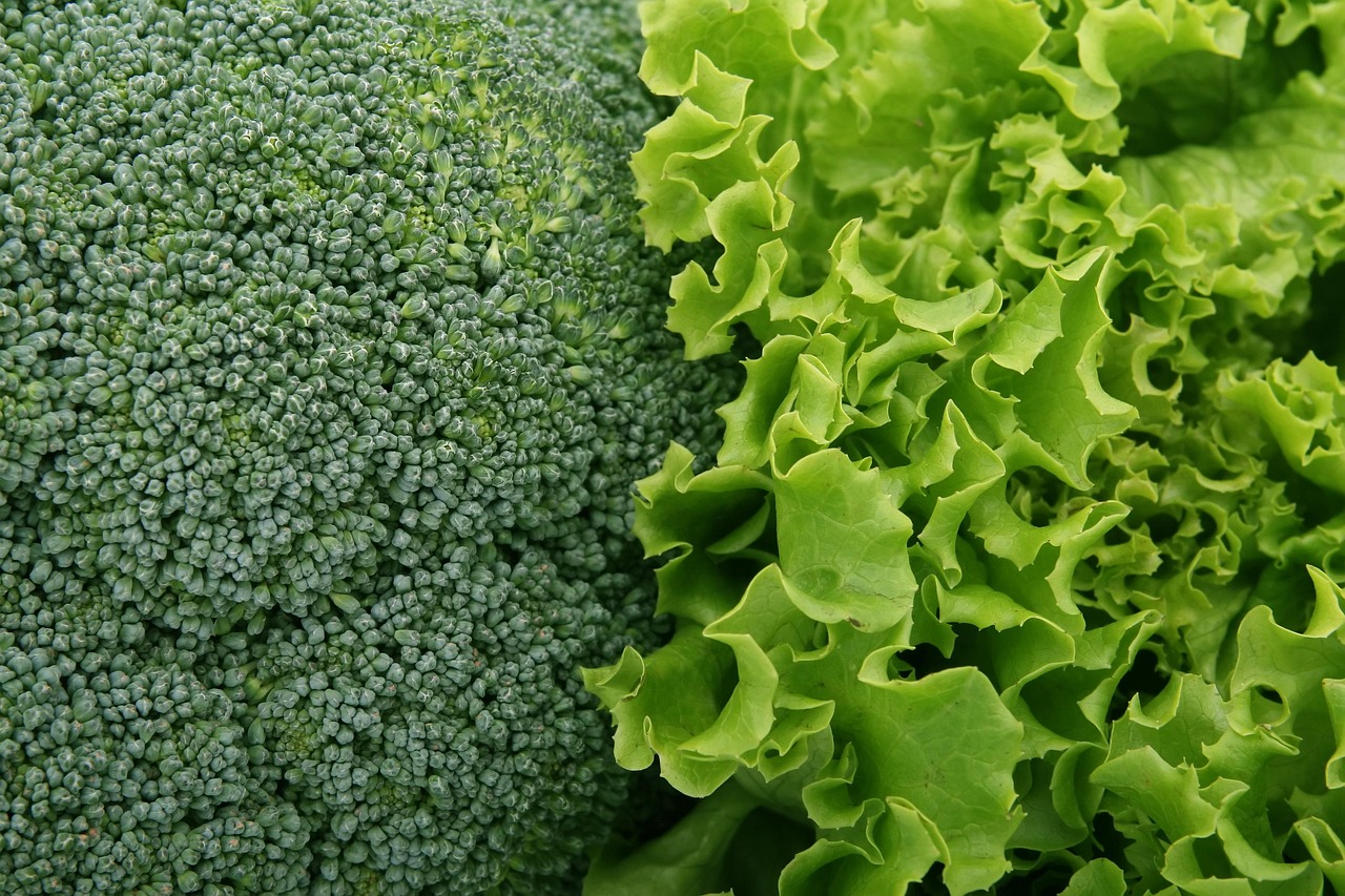 broccoli lettuce vegetables salad green fresh leafy greens broccoli broccoli broccoli broccoli lettuce lettuce lettuce lettuce vegetables salad salad salad salad salad leafy greens leafy greens leafy greens leafy greens