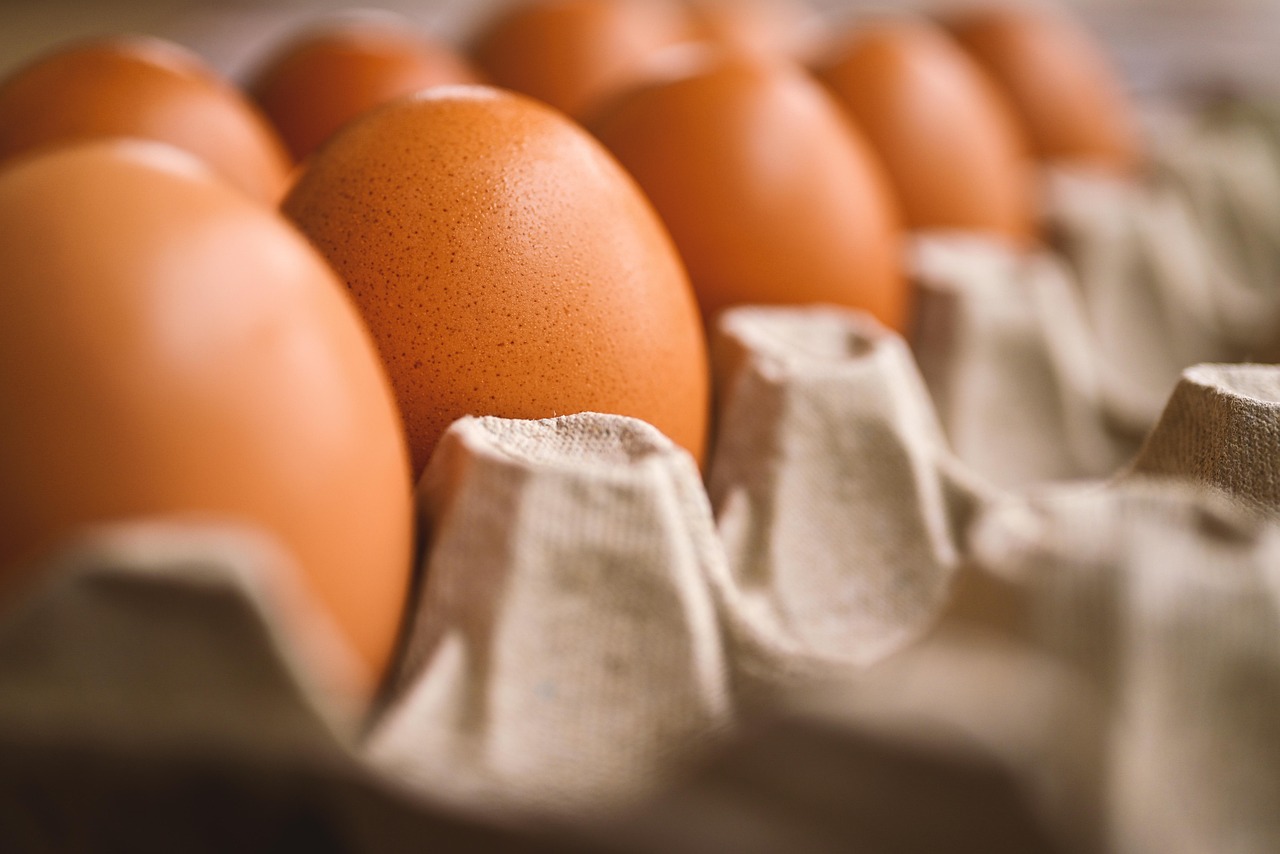 egg egg holder reproduction chicken egg food storage baking cooking egg egg egg egg egg