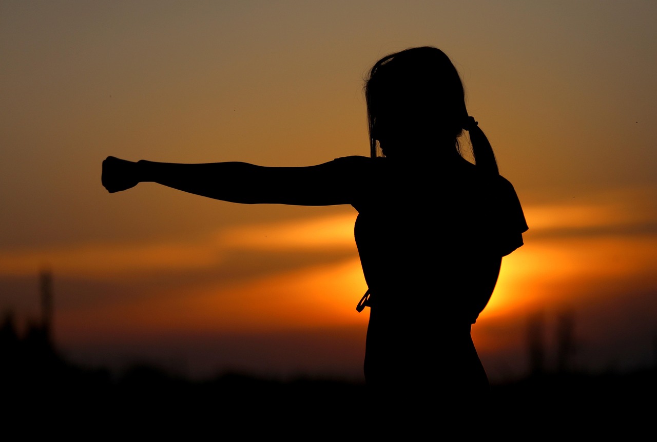 karate sunset fight sports silhouette resistance samurai fit girl self-defense defense nature fist brown sunset brown sports