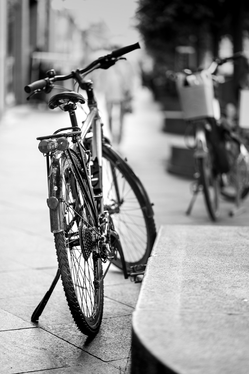 bicycle travel transportation adventure monochrome outdoors cycle bike wheel transport vehicle trip city activity bicycle bicycle bicycle bicycle bicycle cycle cycle cycle cycle bike bike bike bike