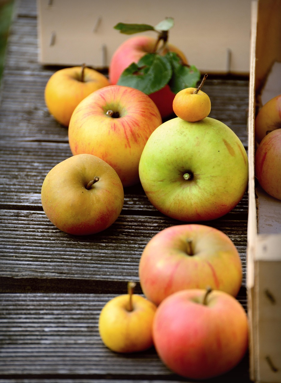apples fresh apples fruits fresh fruits produce harvest organic organic apples healthy difference diversity food difference difference difference difference difference