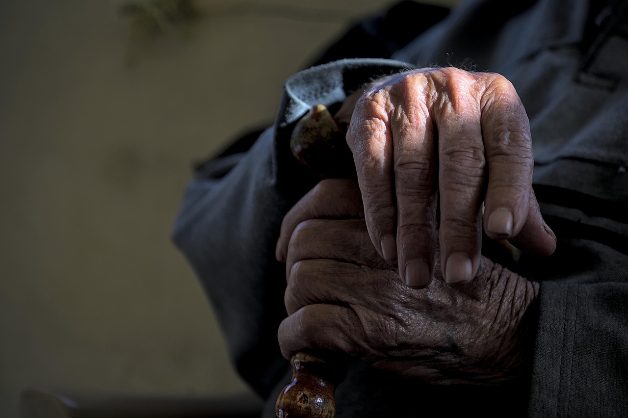 man hands wrinkled old skin aging folds aging process life work life lifestyle old man bone sunshine warmth age drawing grandfather grandpa grandparents old aging old man old man old man old man old man