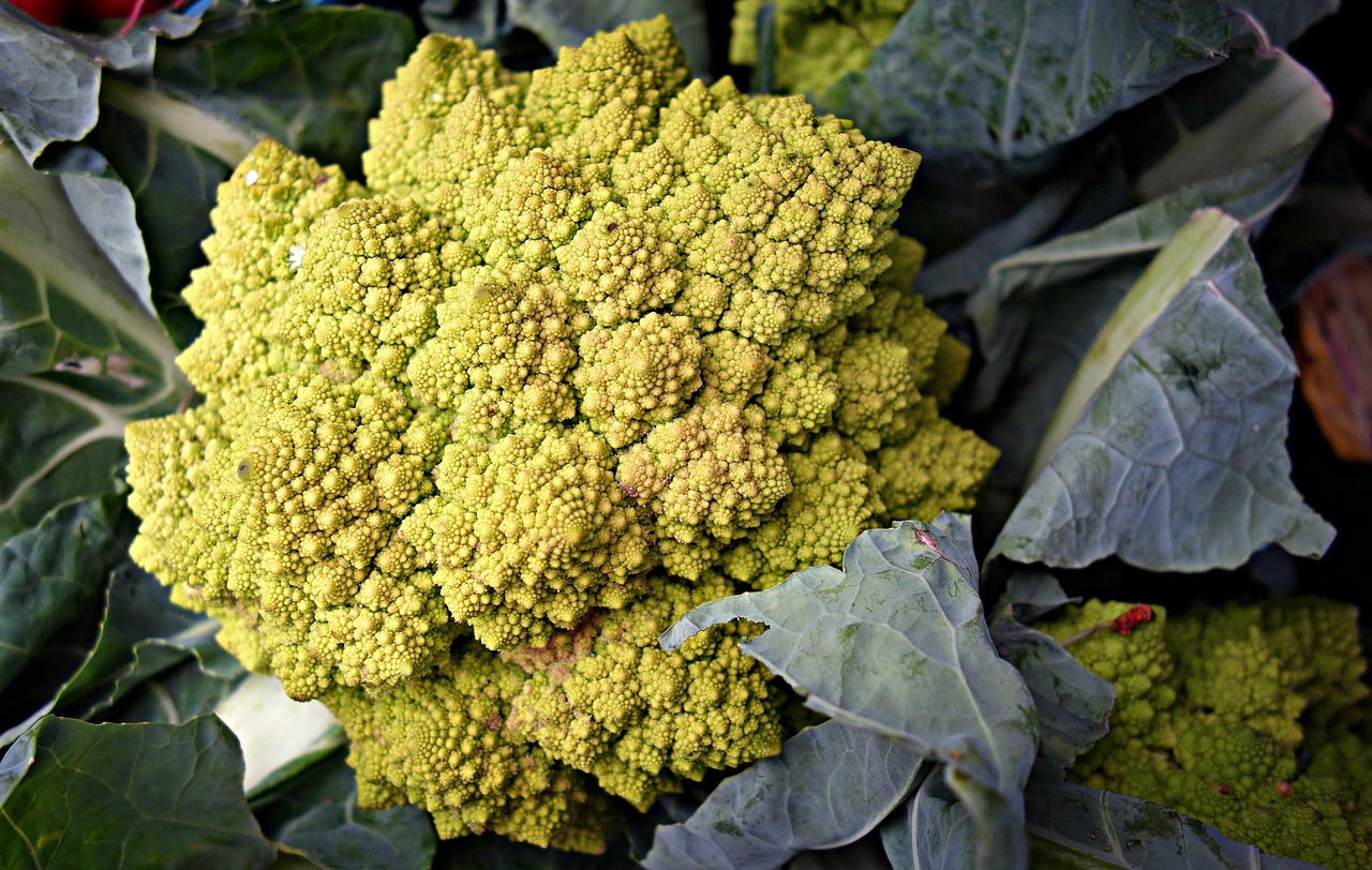roman cauliflower cauliflower brassica oleracea vegetable fractal food nutrition vitamin c vitamin k dietary fiber meal cuisine cauliflower fractal vitamin k vitamin k vitamin k vitamin k vitamin k dietary fiber dietary fiber dietary fiber dietary fiber dietary fiber