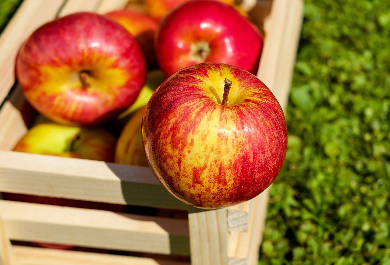 apple red fruits fresh harvest apple crate red apples fresh apples ripe apples produce organic food eat healthy apple apple apple apple apple