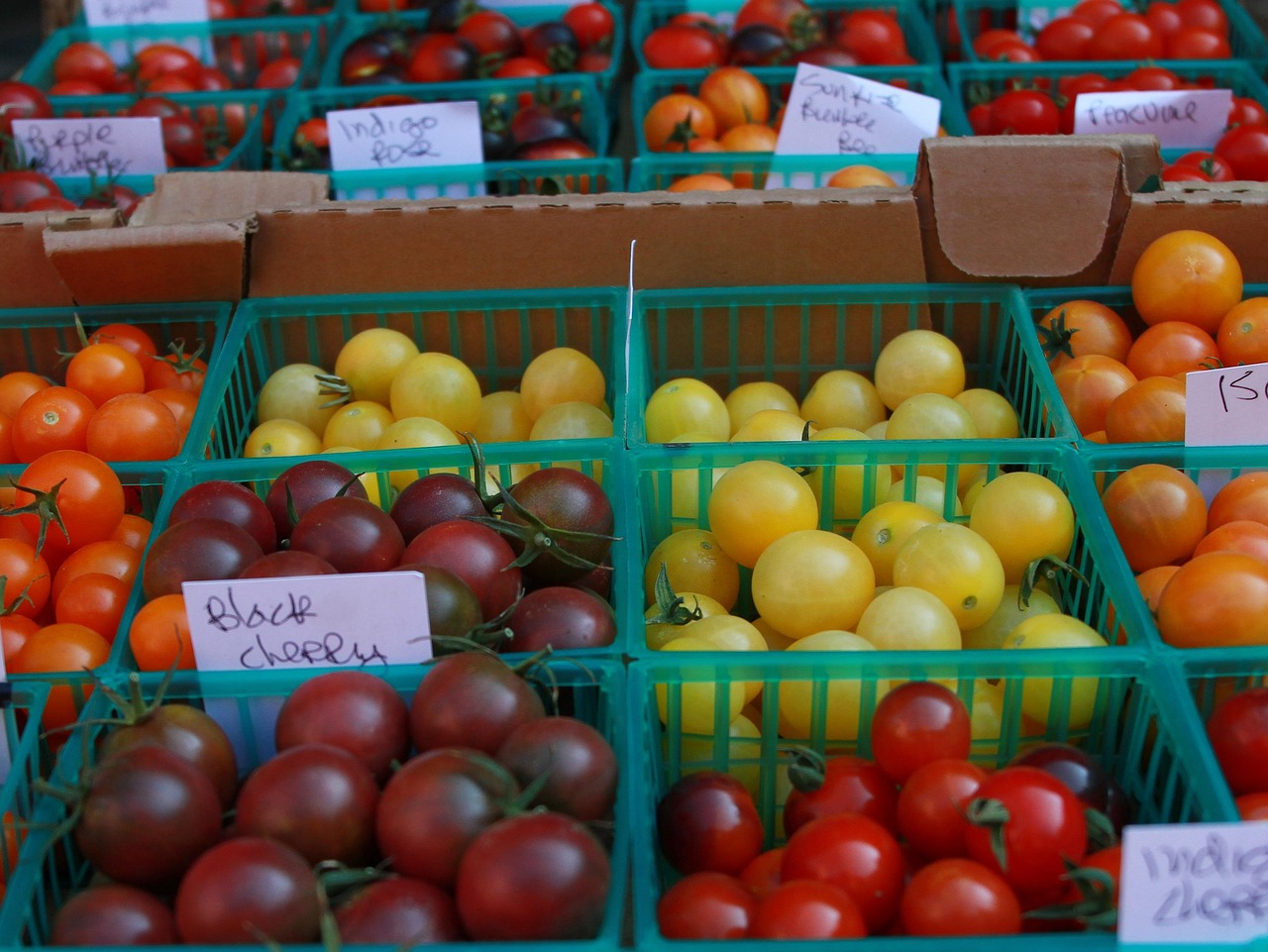 cherry tomato tomatoes in a basket farmers market tomato tasting tomato varieties cherry tomato variety tomato baskets fruit fruit baskets colorful tomatoes cherry tomatoes yellow tomato red tomato orange tomato cherry tomato farmers market farmers market farmers market farmers market farmers market tomato varieties tomato varieties tomato varieties colorful tomatoes