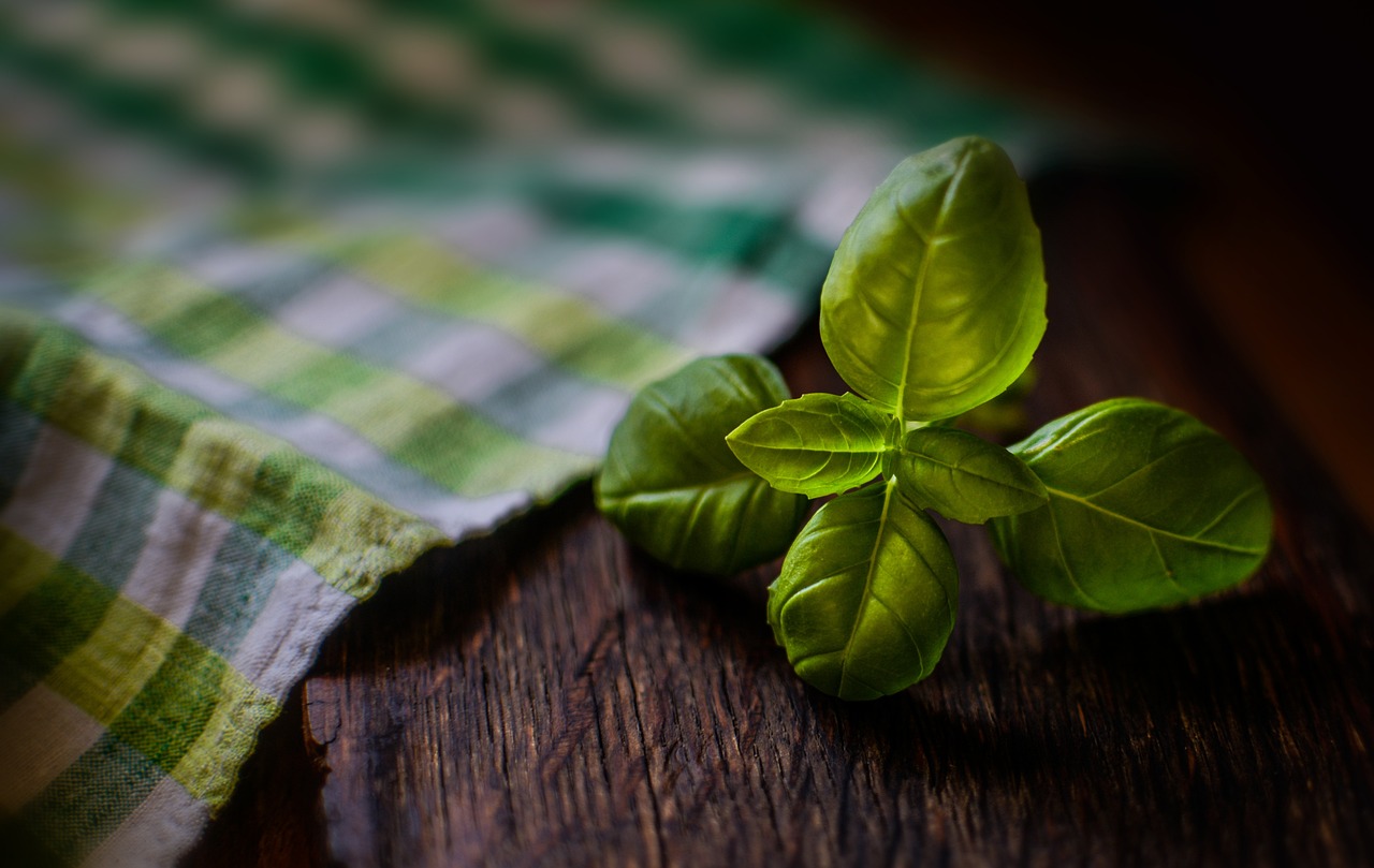 basil herb fresh herb ingredient seasoning basil basil basil basil basil herb