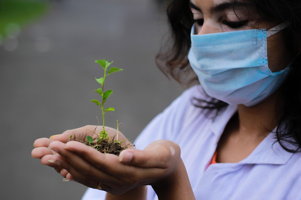 plant nature seedling researcher hands mask face mask planting closeup