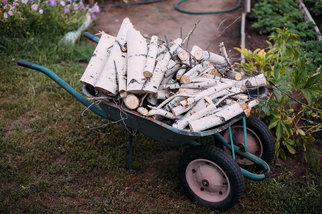 firewood brushwood wood summer august cart garden vegetable garden nature wheelbarrow wood summer cart garden garden garden garden garden vegetable garden vegetable garden