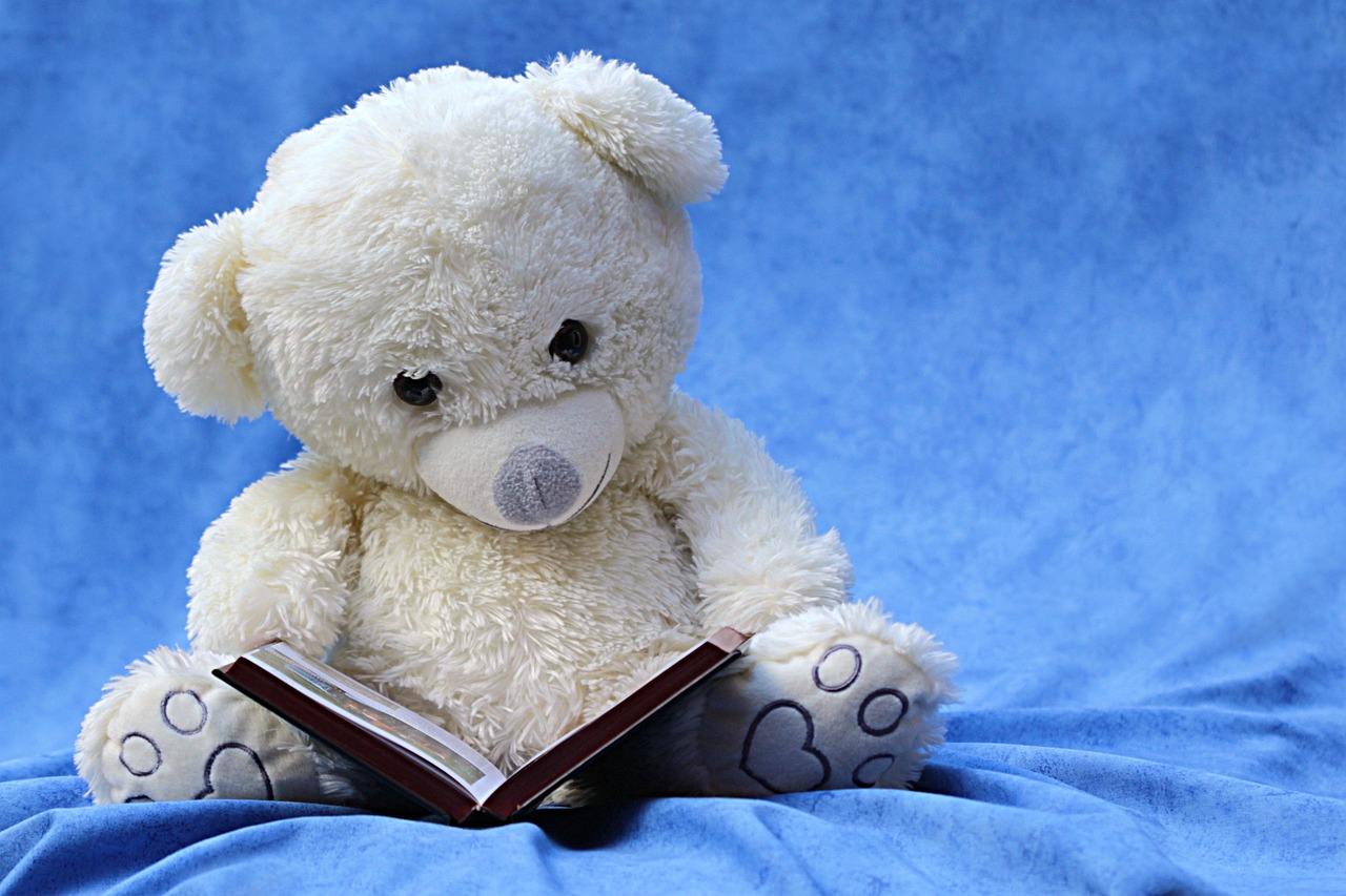 still life teddy white read a book background blue still life still life still life teddy teddy teddy teddy teddy a book a book a book a book