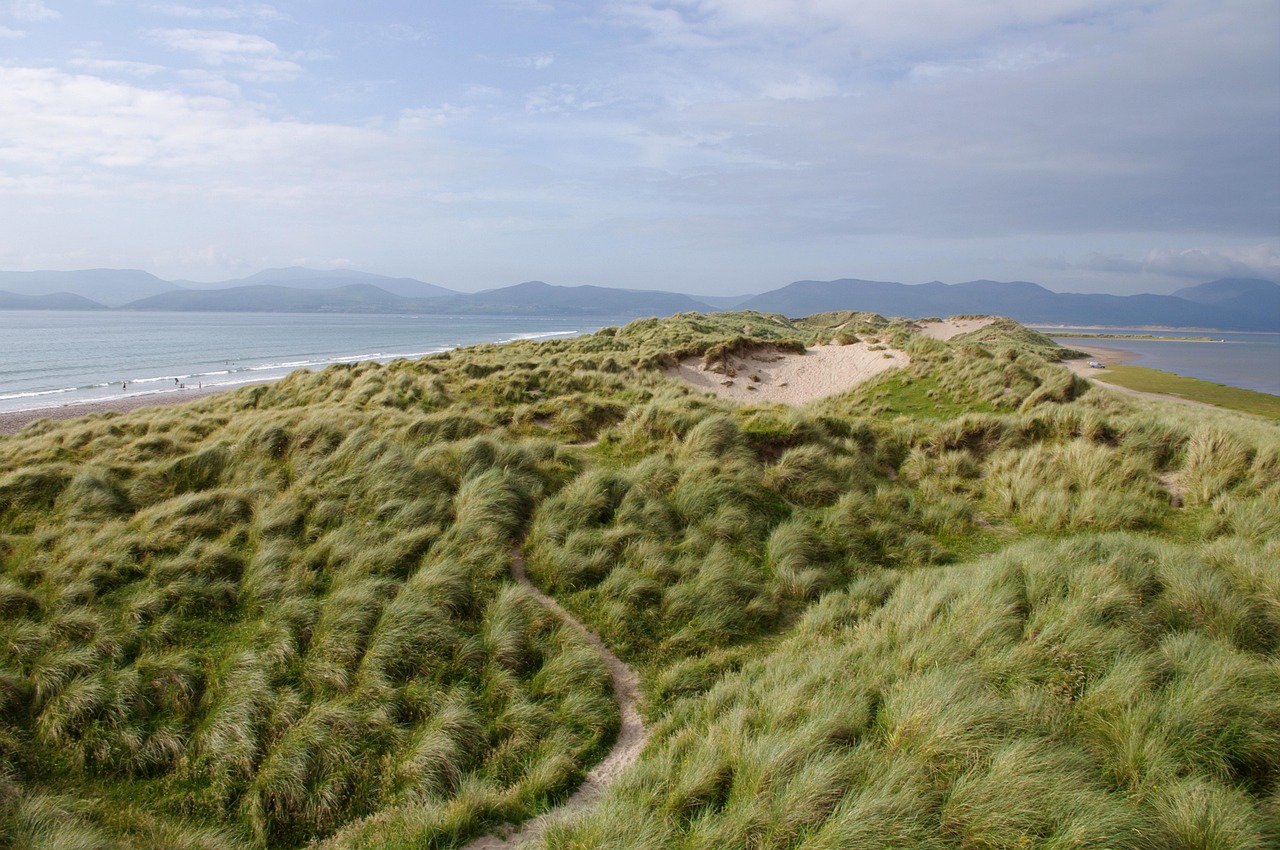 grass coast sea seaside ocean coastline tall grass atlantic mountains landscape scenery scenic nature ring of kerry ireland ireland ireland ireland ireland ireland