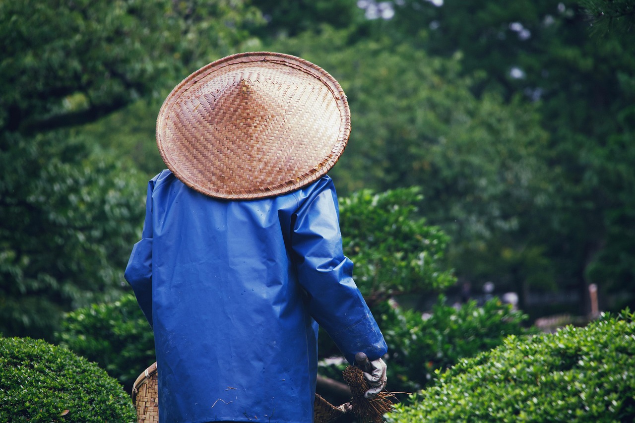 yard nature park gardener gardening hat asia nature gardening gardening gardening gardening gardening hat asia asia