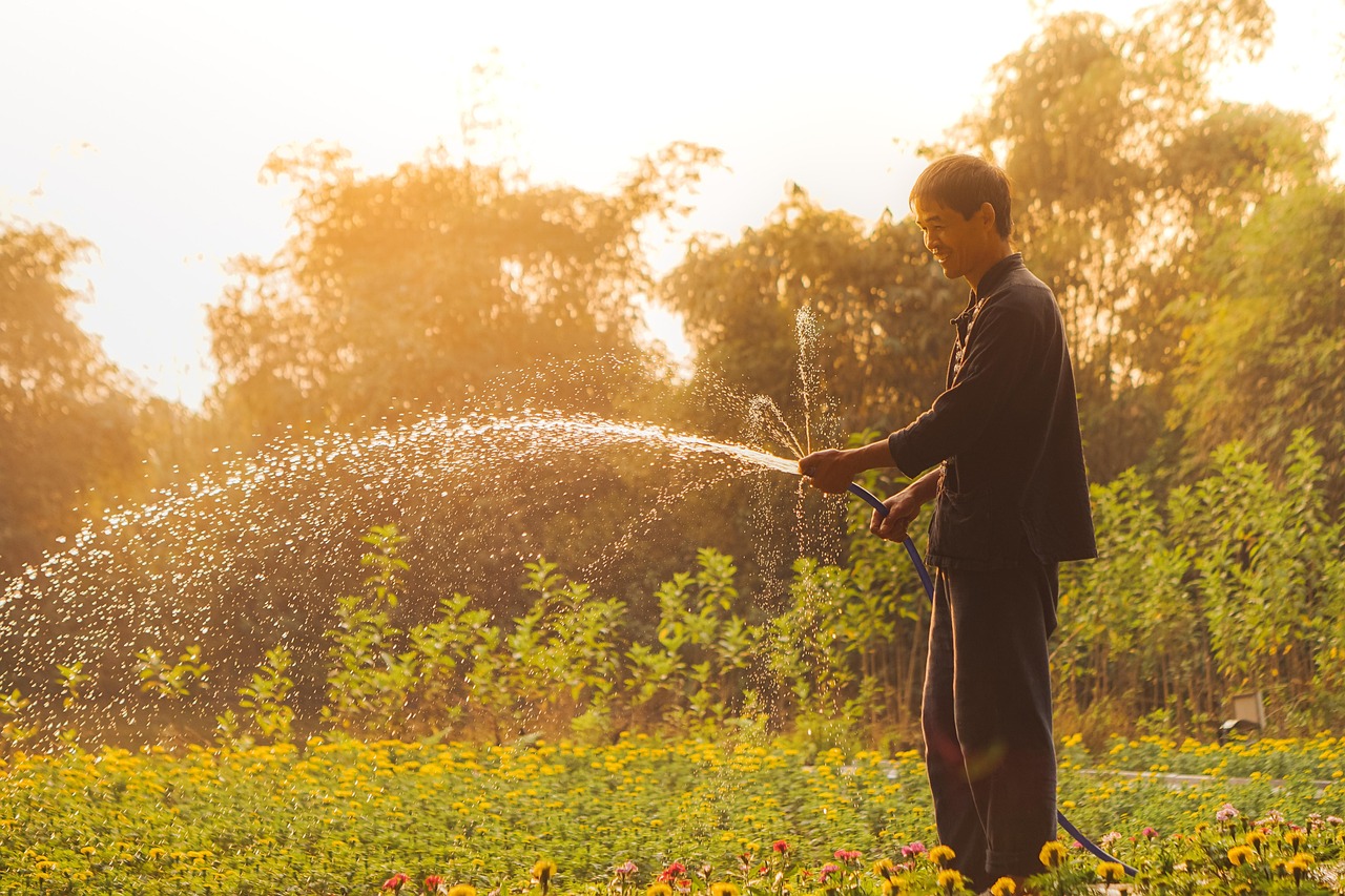 vietnam man gardening watering plants everyday life portrait nature vietnamese gardening gardening gardening gardening gardening